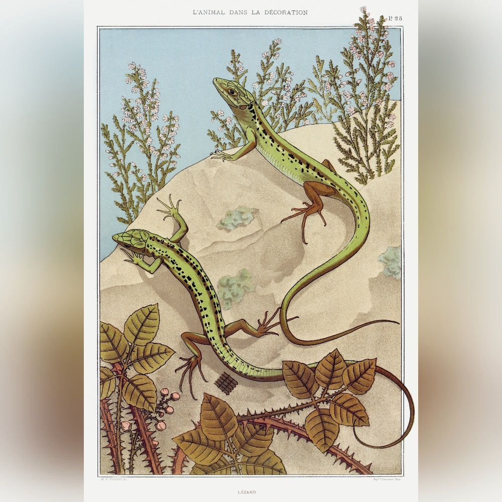Green and Brown Reptile Illustration Art Print
